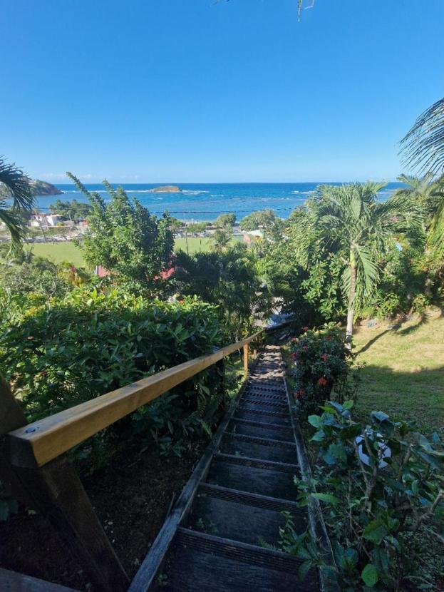 Hotel Le Manguier Morne Pavillon Eksteriør bilde
